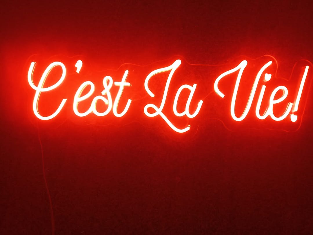French Neon Sign (C'est La Vie!) [enseigne au néon français]