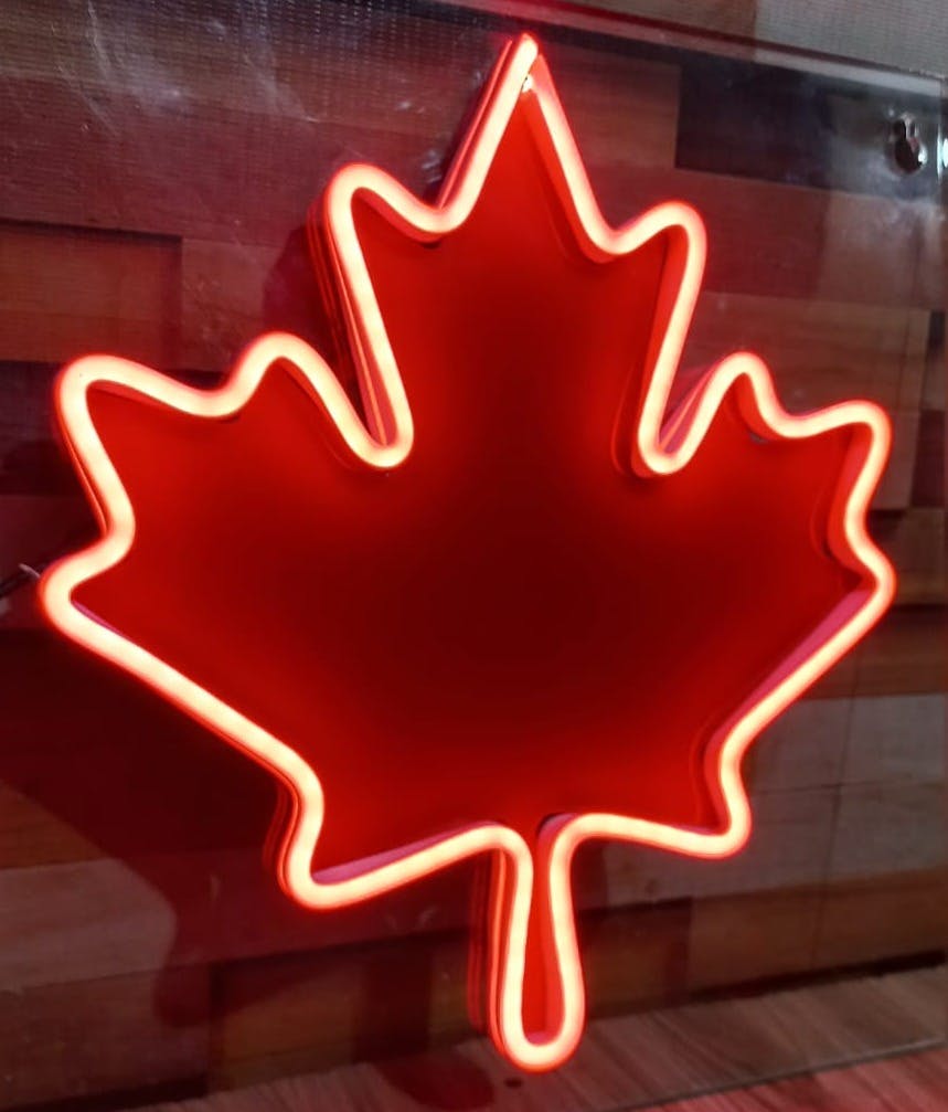 Canada Day Special Neon Sign (Maple Leaf)